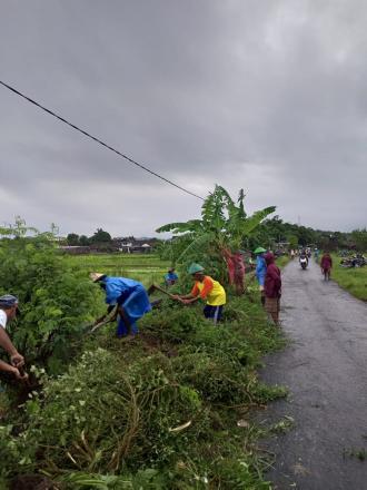 Kerja Bakti Petani Bulak Ancak untuk Persiapan Penyambutan Menteri Pertanian