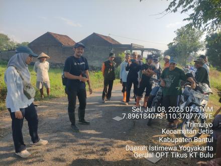 Gerakan Pengendalian Hama Tikus di Bulak Kelompok Tani Bulu